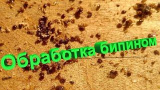 Профессор Кашковский про обработку пчёл бипином