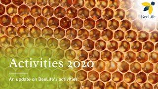 BeeLife's Highlighted Activities in 2020