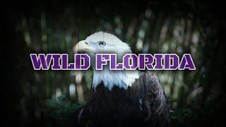 Wild Florida: Jacksonville Zoo