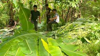 MABILISAN pala ang KITAAN sa BANANA LEAVES, May Bonus pa na PUSO at SABA!