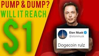 What Happened to Dogecoin in 2020? | Ɖogecoin Price Surge Explained