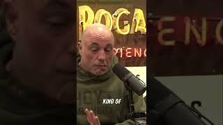 Is Bestiality Legal  - Joe Rogans Reacts to WTF!