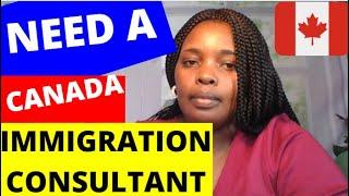 Do you need an immigration consultant : lawyer to handle your immigration process?