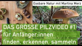 Großes Pilzvideo #1 für Anfänger:innen: Essbare, giftige und andere Pilze im September