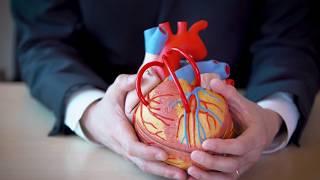 Mechanical vs. biologic heart valve replacements