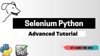 Selenium Python tutorial | Element not interactable/blocked, fully loaded page, endless loading