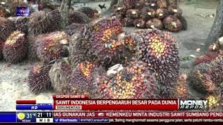 Kelapa Sawit Penting Bagi Ekonomi Indonesia