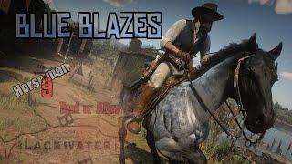 Horseman 9 Challenge : Reverse Dapple Roan Nokota :  Fastest Horse in Red Dead Redemption 2