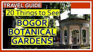 Bogor Botanical Gardens - 20 Things You Should See (Indonesia)