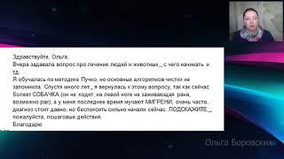 Биолокация и методика Пучко за 4 минуты. Ольга Боровских