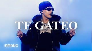 TE GATEO | Instrumental de Reggaeton PERREO | Cris MJ Type Beat