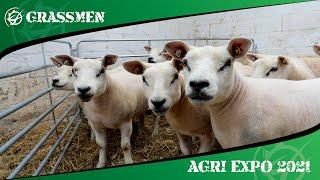 TAMNAMONEY TEXELS - GRASSMEN AGRI EXPO DAY 2