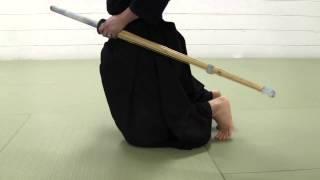 Kendo Basics I:  Introduction and Sitting in Seiza