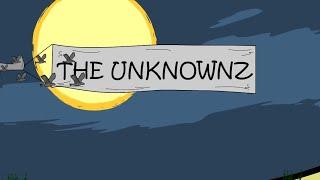 The Unknownz's flying plane