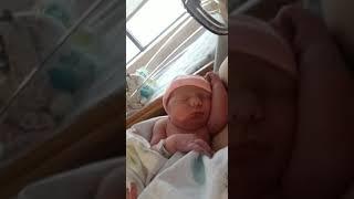 Newborn baby girl Alice fresh out from a c section