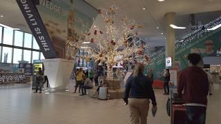 4K Walking Tour of Cape Town International Airport's HIDDEN Gems!