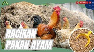 RACIKAN PAKAN AYAM YANG BAGUS