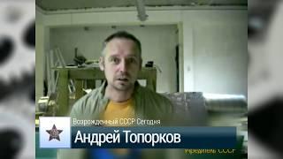 Андрей Топорков. Нужна ли революция? | Возрождённый СССР Сегодня