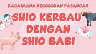 Bagaimana Kecocokan Shio Kerbau dengan Shio Babi?