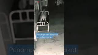 Jejak Cctv || Penampakan Malaikat Pencabut Nyawa. #eksperimen #shorts