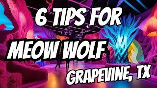 Experience Meow Wolf, Grapevine Like a Pro: 6 Essential Tips