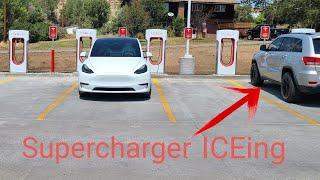 Kremmling Supercharger Online! Weekly Tesla News Update. Model Y Sneak Peak 