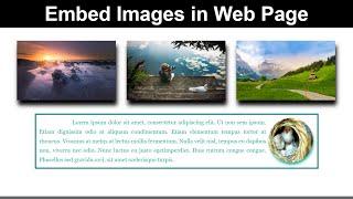 How to Insert Images in Web Page Using HTML and CSS| Create Rounded Images Using CSS | HTML Image