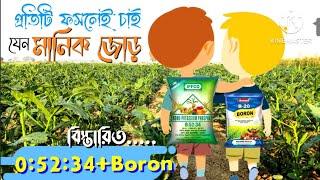 IFFCO Mono potassium phosphate+Boron|0:52:34 +বোরন ফসলে প্রয়োগ ও ফলাফল দেখুন|স্প্রের সময়কাল|