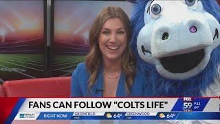 Follow Colts' New Social Media Handles @ColtsLife for Everything Colts Off-the-Field