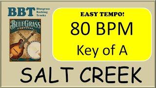 Salt Creek bluegrass - backing track 80