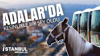 ADALAR'DA HER ŞEY ÇOK GÜZEL OLDU