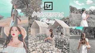 Majestic Gray Preset | Best Photo Editing | Free DNG How To Edit Lightroom Preset