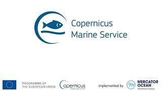 The Copernicus Marine Service offer