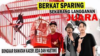 SOLUSI DAN MENGATASI KACER JEDA DAN NGETIME DENGAN TEKHNIK SPARING