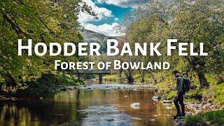 Hodder Bank Fell | Lancashire Walks | HIDDEN Gems! | Forest of Bowland | 5 Mile Walk