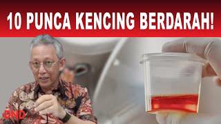 10 PUNCA KENCING BERDARAH!