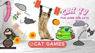 CAT GAMES - Mice, Birds, Ants, Butterflies, Squirrels | CAT & DOG TV 