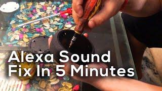 No sound from Alexa Eco Dot ! Fixed in 5 minutes