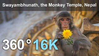 Swayambhunath, the Monkey Temple, Kathmandu, Nepal. 16K 360 video.