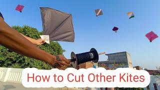 How to Cut Other Kites | Evening Kite Fighting |