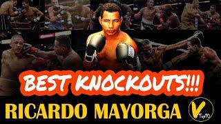 5 Ricardo Mayorga Greatest Knockouts
