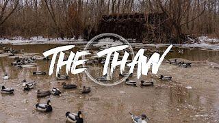 Duck Hunting- The Unexpected Thaw