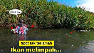 MELIMPAH!CASTING IKAN GABUS DI SINI GAK BAKALAN BONCOS