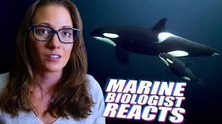 Grieving Orca Carries Her Calf Again... A Marine Biologist Reacts