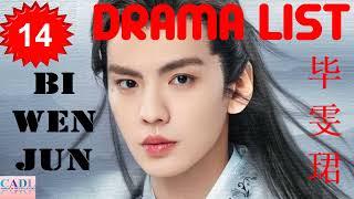 毕雯珺 Bi Wen Jun | Drama List | Bi Wenjun 's all 14 dramas | CADL