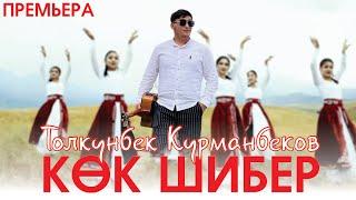 Толкунбек Курманбеков - Кок шибер (Official music 2022)