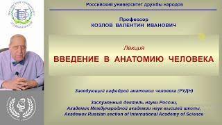 "ВВЕДЕНИЕ В АНАТОМИЮ" с академиком Валентином Ивановичем Козловым