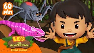 1 HOUR OF CREEPY CRAWLIES AND EXOTIC REPTILES!! ️ | Leo the Wildlife Ranger | Kids Cartoons