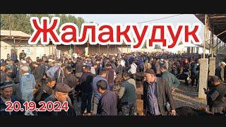 Андижон вилояти Жалакудук хайвон бозори.20.09.2024 #vodiydansado #tezkor