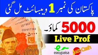 HOW TO EARN MONEY ONLINE IN PAKISTAN | EARN 5000 PKR DAILY WITHOUT INVESTMENT | MAKE MONEY ONLINE